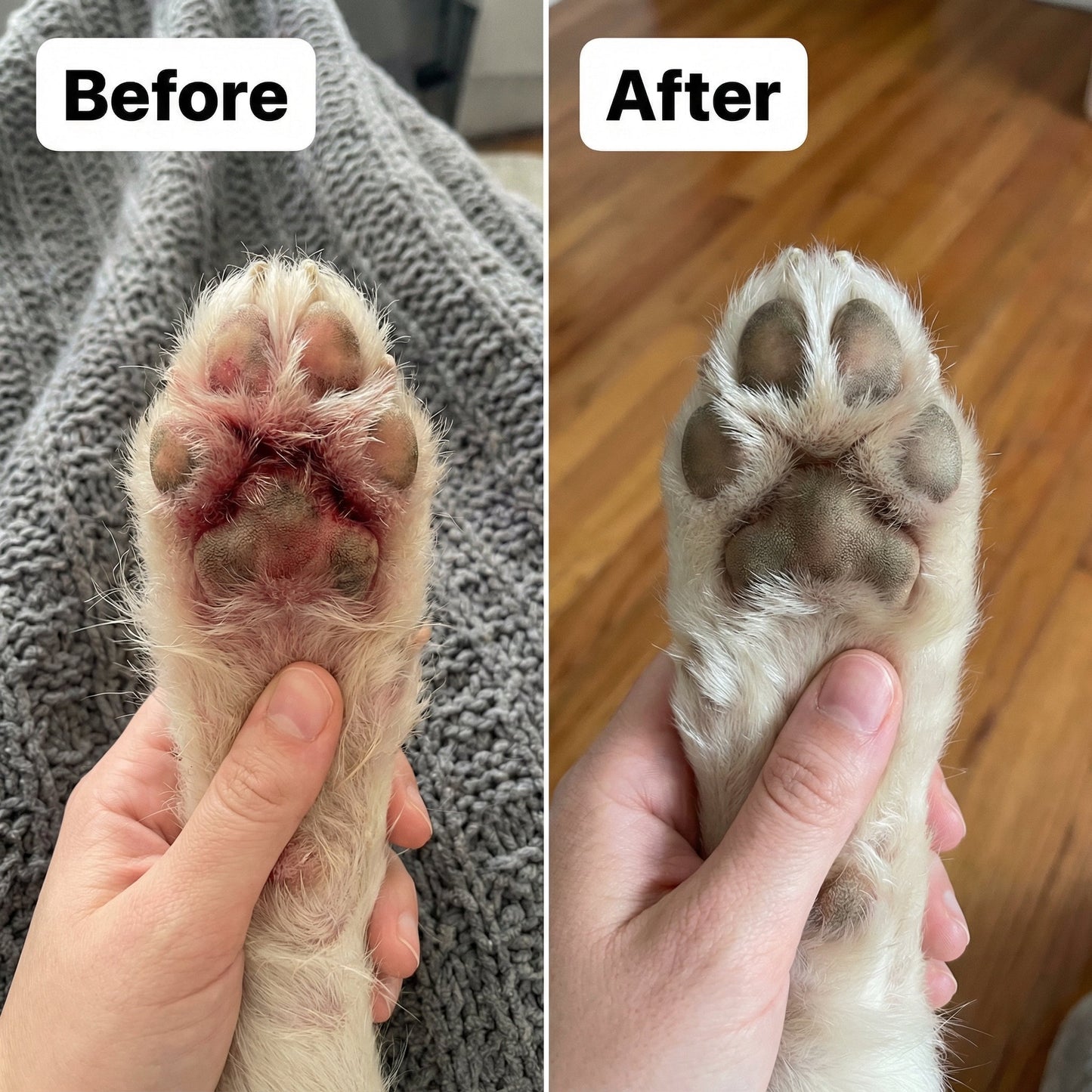 Pawsco™ Natural Yeast Relief