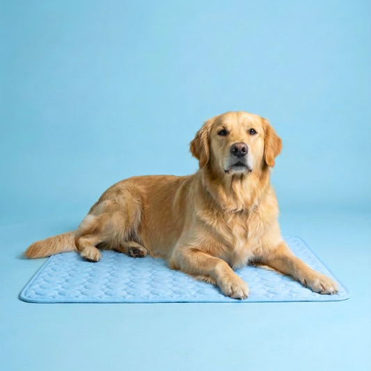Pawsco IceNap | Ice-Silk Continuous Cooling Dog Cooling Mat
