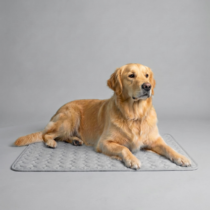 Pawsco IceNap | Ice-Silk Continuous Cooling Dog Cooling Mat