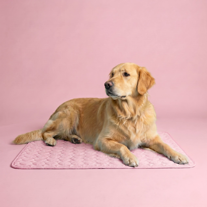 Pawsco IceNap | Ice-Silk Continuous Cooling Dog Cooling Mat