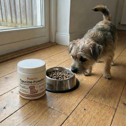 Taurine Pawsco™