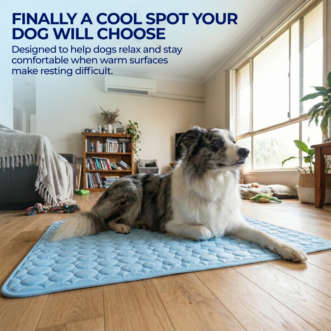 Pawsco IceNap | Ice-Silk Continuous Cooling Dog Cooling Mat