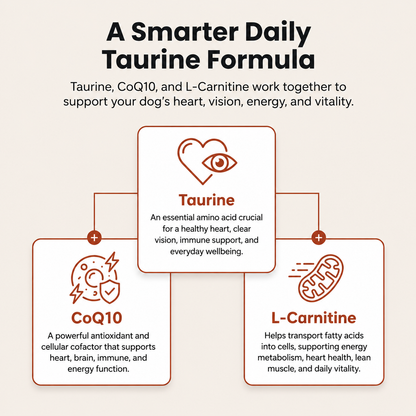 Taurine Pawsco™