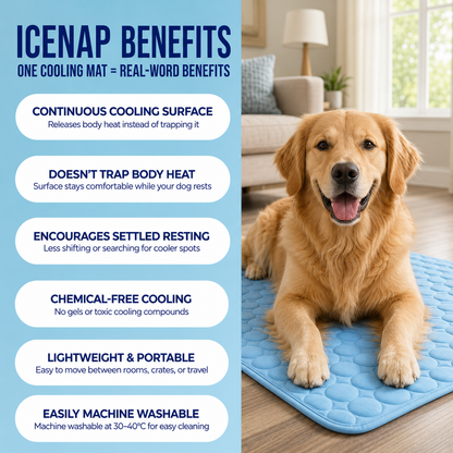 Pawsco IceNap | Ice-Silk Continuous Cooling Dog Cooling Mat