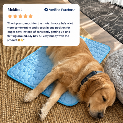 Pawsco IceNap | Ice-Silk Continuous Cooling Dog Cooling Mat
