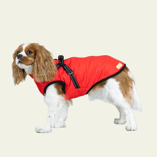 Pawsco™ 3 in 1 Jacket