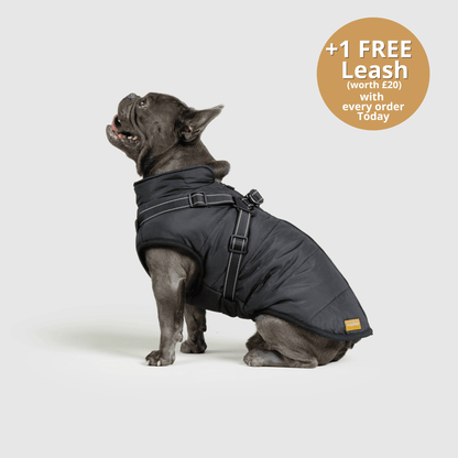 Pawsco™ 3 in 1 Jacket