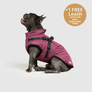 Pawsco™ 3 in 1 Jacket