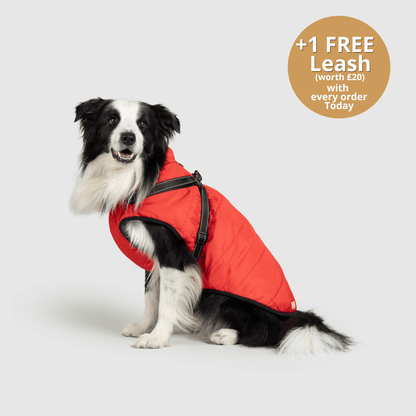 Pawsco™ 3 in 1 Jacket