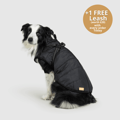 Pawsco™ 3 in 1 Jacket