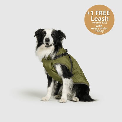 Pawsco™ 3 in 1 Jacket