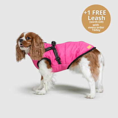 Pawsco™ 3 in 1 Jacket