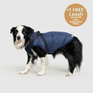 Pawsco™ 3 in 1 Jacket