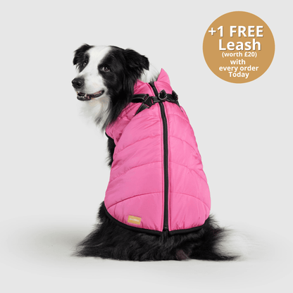 Pawsco™ 3 in 1 Jacket