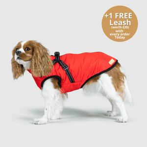 Pawsco™ 3 in 1 Jacket