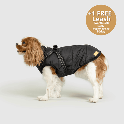 Pawsco™ 3 in 1 Jacket