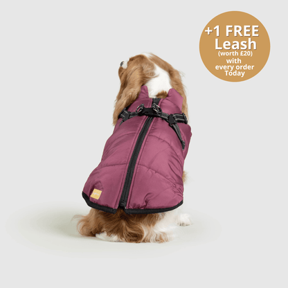Pawsco™ 3 in 1 Jacket
