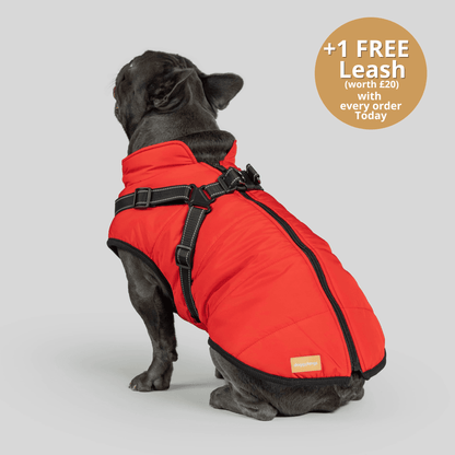 Pawsco™ 3 in 1 Jacket