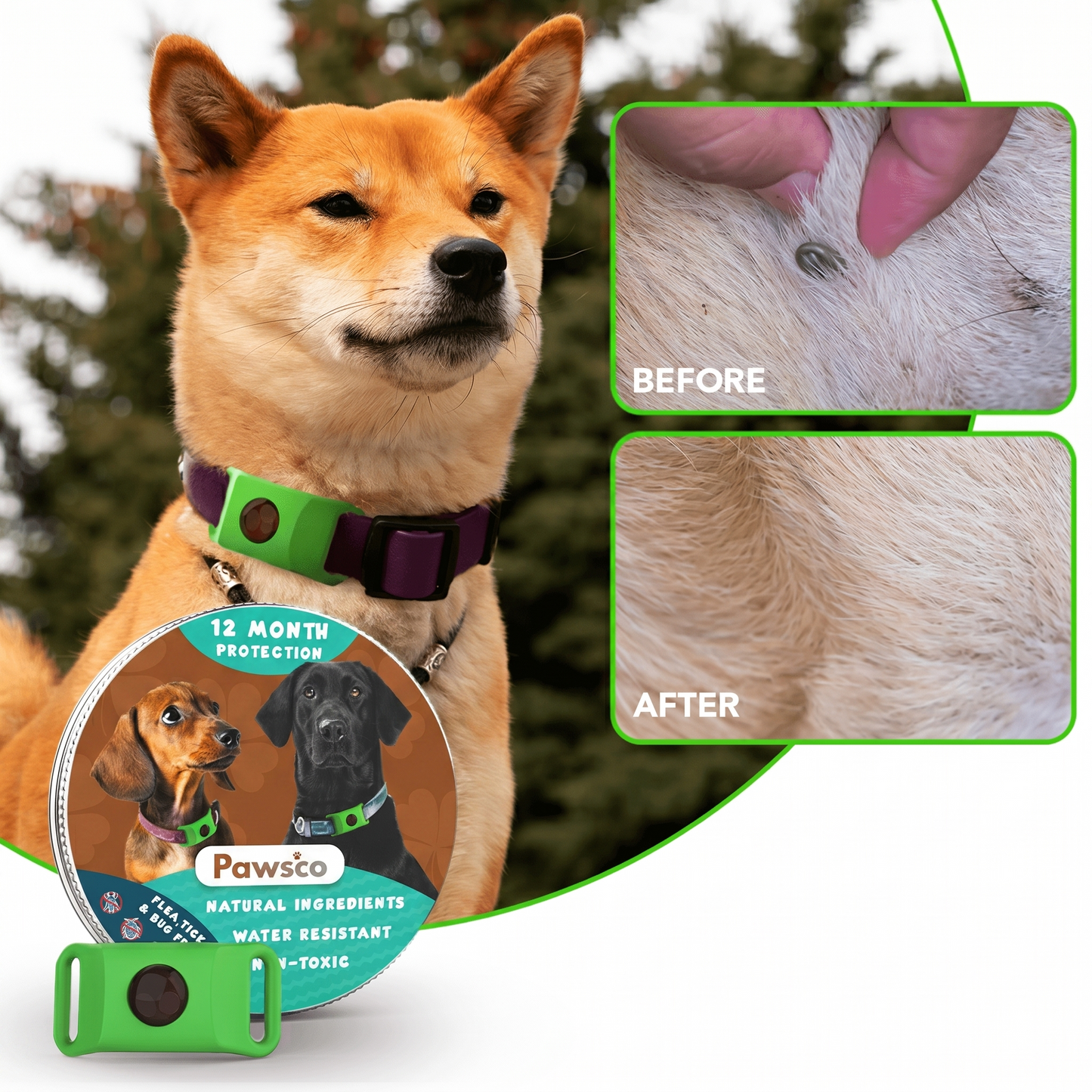 Pawsco™ - 12 Months All Natural Flea and Tick Tags for Dogs