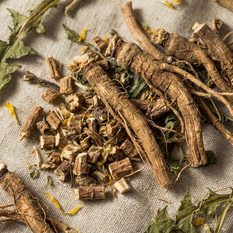 Dandelion Root