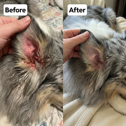 Pawsco™ Natural Yeast Relief