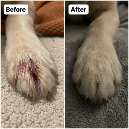 Pawsco™ Natural Yeast Relief