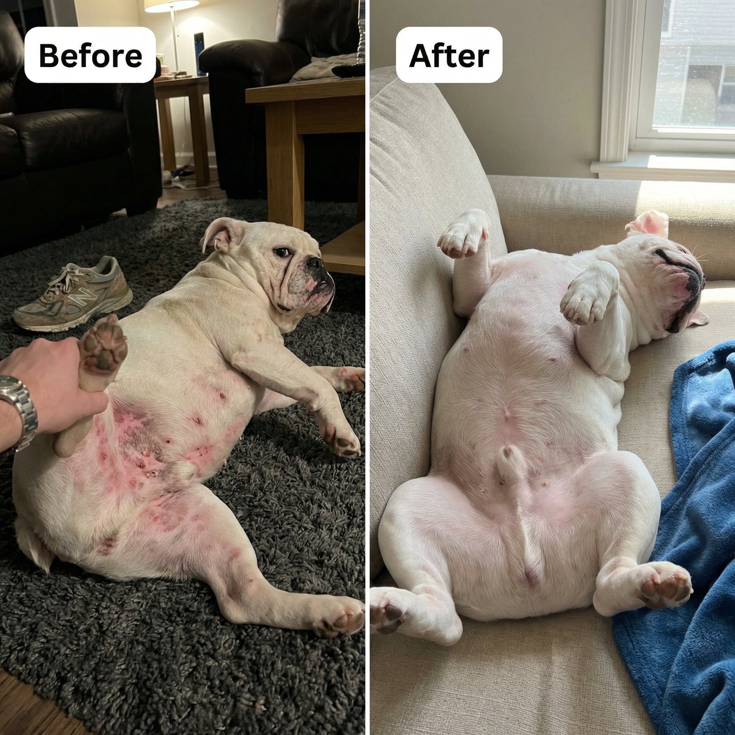 Pawsco™ Natural Yeast Relief